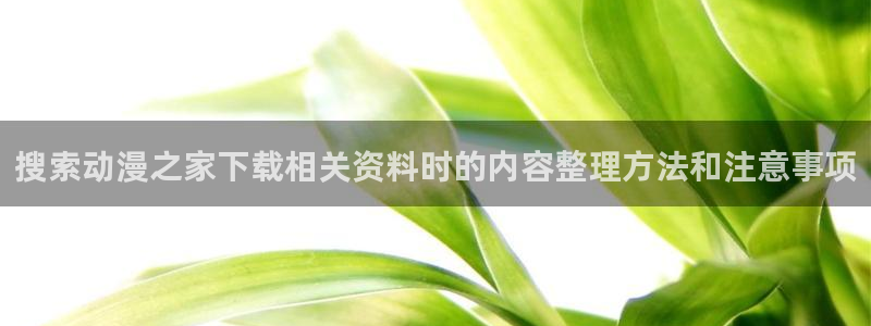 好看的韓漫漫畫:搜索動漫之家下載相關資料時的內容整理方法和注意事項配圖